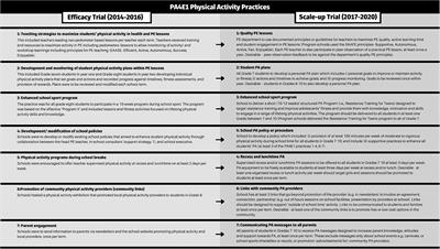 Extent, Type and Reasons for Adaptation and Modification When Scaling-Up an Effective Physical Activity Program: Physical Activity 4 Everyone (PA4E1)